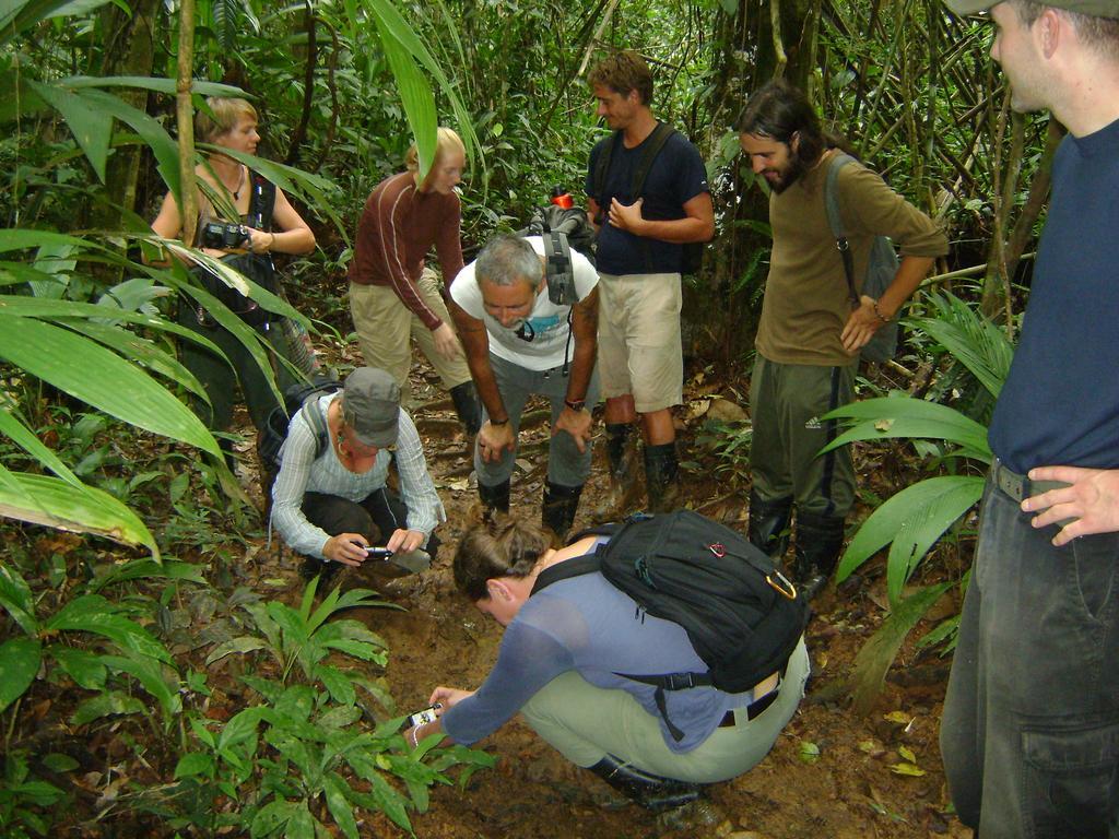 Ecolodge Luna Del Rio El Castillo de La Concepción Eksteriør billede